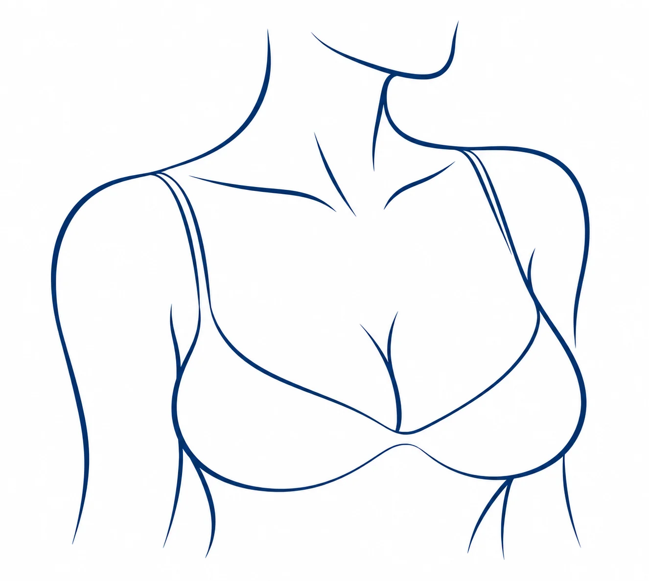 Ilustração em traço do busto feminino com sutiã